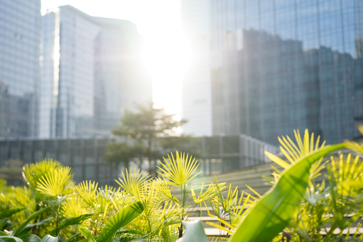 Green office: cuidemos el medio ambiente desde el lugar de trabajo